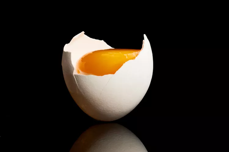 Egg Image